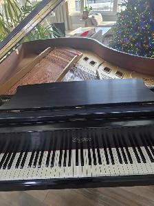 Baby Grand Piano