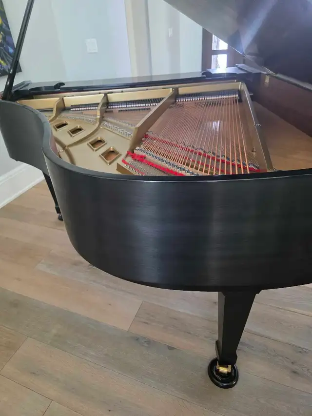 Baby Grand Piano - Photo 2