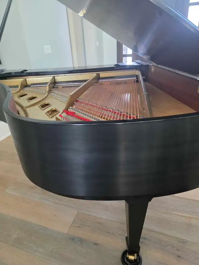 Baby Grand Piano - Photo 3