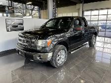 2013 Ford F-150 XTR