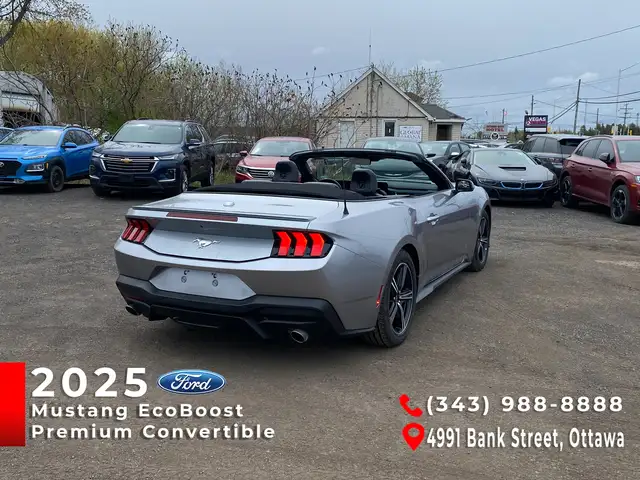 2025 Ford Mustang Convertible EcoBoost Premium - Photo 3