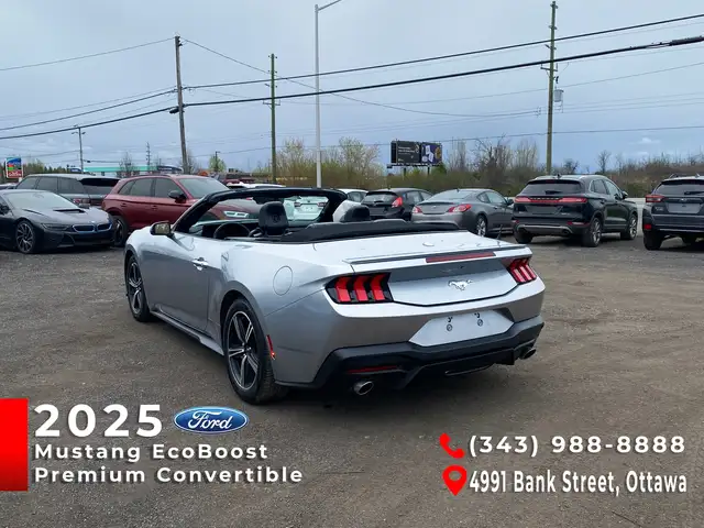 2025 Ford Mustang Convertible EcoBoost Premium - Photo 4