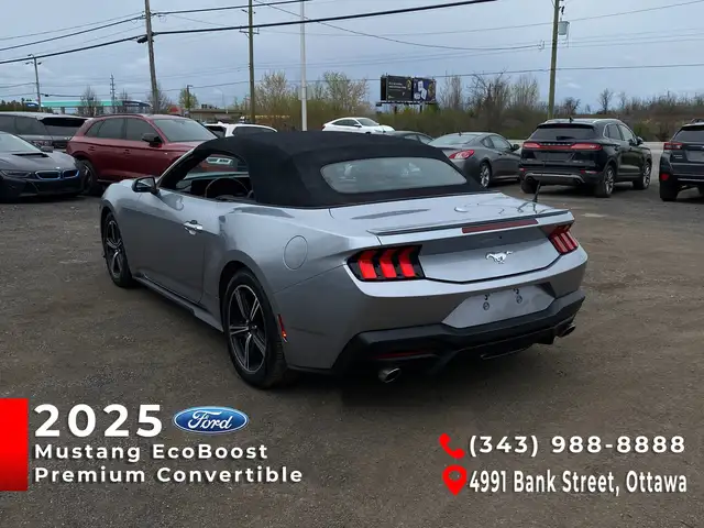 2025 Ford Mustang Convertible EcoBoost Premium - Photo 5