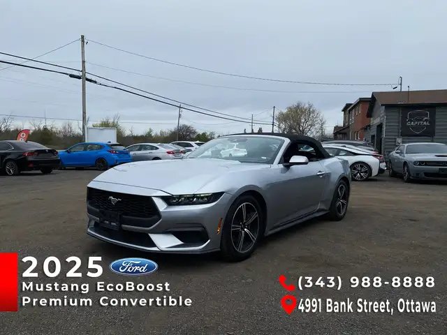 2025 Ford Mustang Convertible EcoBoost Premium - Photo 6