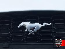 2025 Ford Mustang Convertible EcoBoost Premium - Photo 9