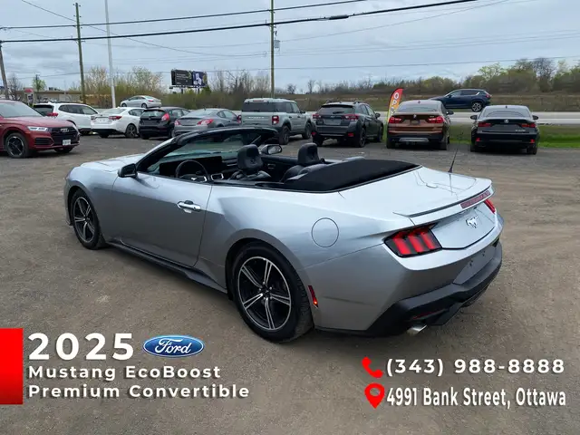2025 Ford Mustang Convertible EcoBoost Premium - Photo 10
