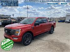 2023 Ford F-150 XLT - Aluminum Wheels - SYNC