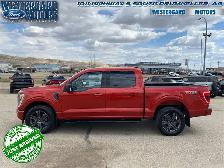 2023 Ford F-150 XLT - Aluminum Wheels - SYNC - Photo 2