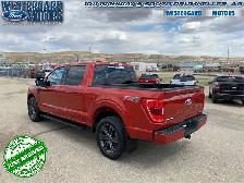 2023 Ford F-150 XLT - Aluminum Wheels - SYNC - Photo 3