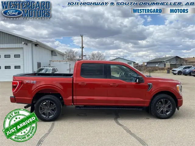 2023 Ford F-150 XLT - Aluminum Wheels - SYNC - Photo 5