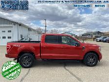 2023 Ford F-150 XLT - Aluminum Wheels - SYNC - Photo 5