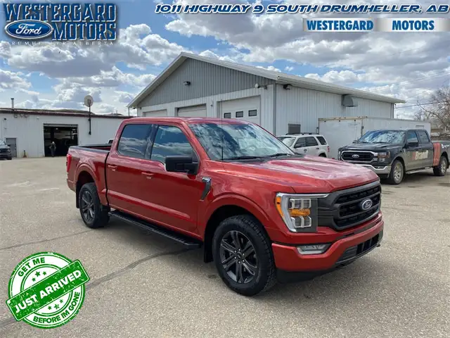 2023 Ford F-150 XLT - Aluminum Wheels - SYNC - Photo 6