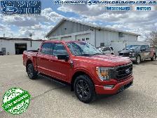 2023 Ford F-150 XLT - Aluminum Wheels - SYNC - Photo 6