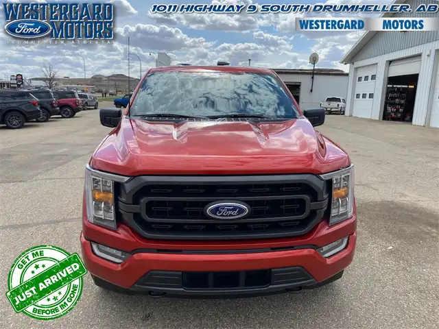 2023 Ford F-150 XLT - Aluminum Wheels - SYNC - Photo 7
