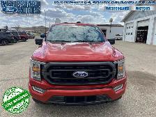 2023 Ford F-150 XLT - Aluminum Wheels - SYNC - Photo 7