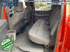2023 Ford F-150 XLT - Aluminum Wheels - SYNC - Photo 11