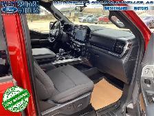 2023 Ford F-150 XLT - Aluminum Wheels - SYNC - Photo 12