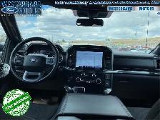 2023 Ford F-150 XLT - Aluminum Wheels - SYNC - Photo 13
