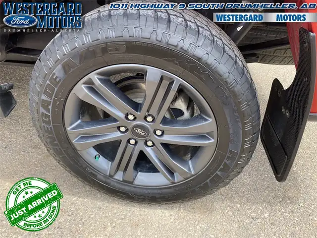 2023 Ford F-150 XLT - Aluminum Wheels - SYNC - Photo 17