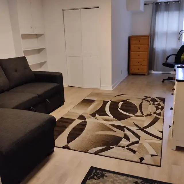One bedroom room apartment for rent in North York. - Photo 2