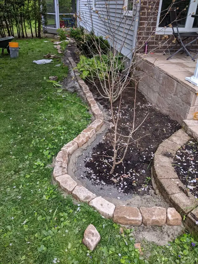 YARD WORK 4 CASH