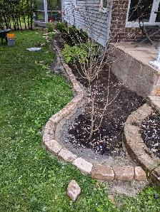 YARD WORK 4 CASH