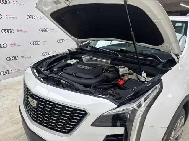2019 Cadillac XT4 AWD Premium Luxury | Massage Seats | Winter - Photo 10