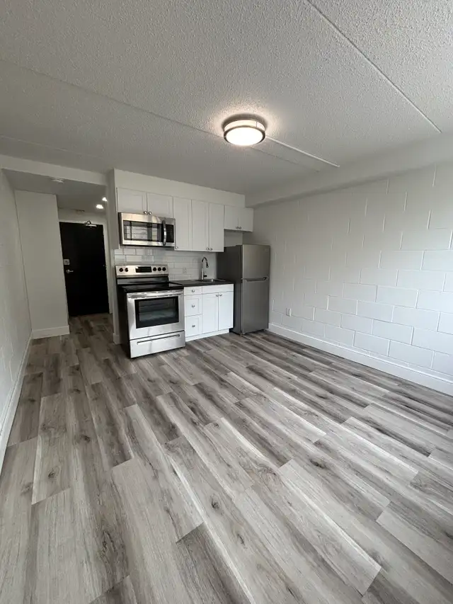 NEWLY RENOVATED - BACHELOR UNITS - Photo 2