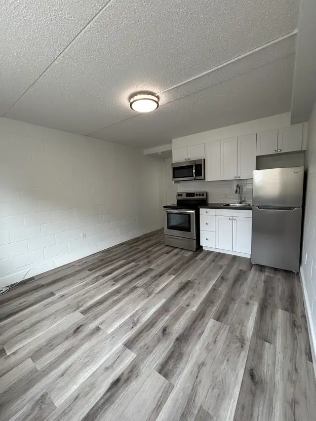 NEWLY RENOVATED - BACHELOR UNITS - Photo 3
