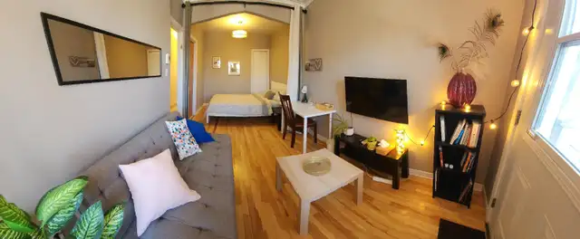 1350$ Studio Lumineux pour Professionnel ou Étudiant Métro Fabre