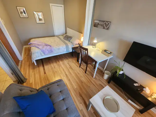 1350$ Studio Lumineux pour Professionnel ou Étudiant Métro Fabre - Photo 3