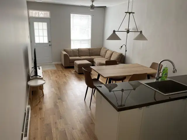 Fully furnished 1 bedroom short term rental
