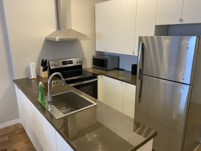 Fully furnished 1 bedroom short term rental - Photo 2