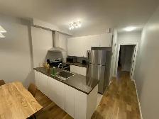 Fully furnished 1 bedroom short term rental - Photo 4