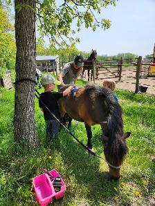 Mini, Cart and Harness Package