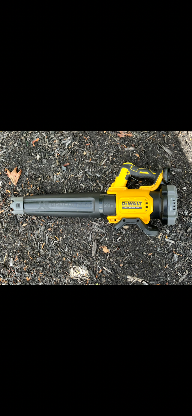 DEWALT 20V MAX XR Cordless Leaf Blower