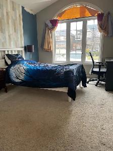 Roommate Pvt Room Upstairs in House $750