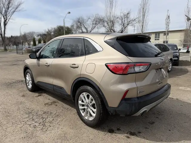 2020 Ford Escape SE - Photo 4