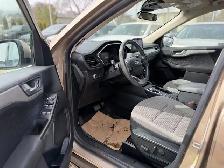 2020 Ford Escape SE - Photo 10
