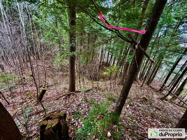 $149,000 - Residential Lot for sale in St-Boniface - Photo 2