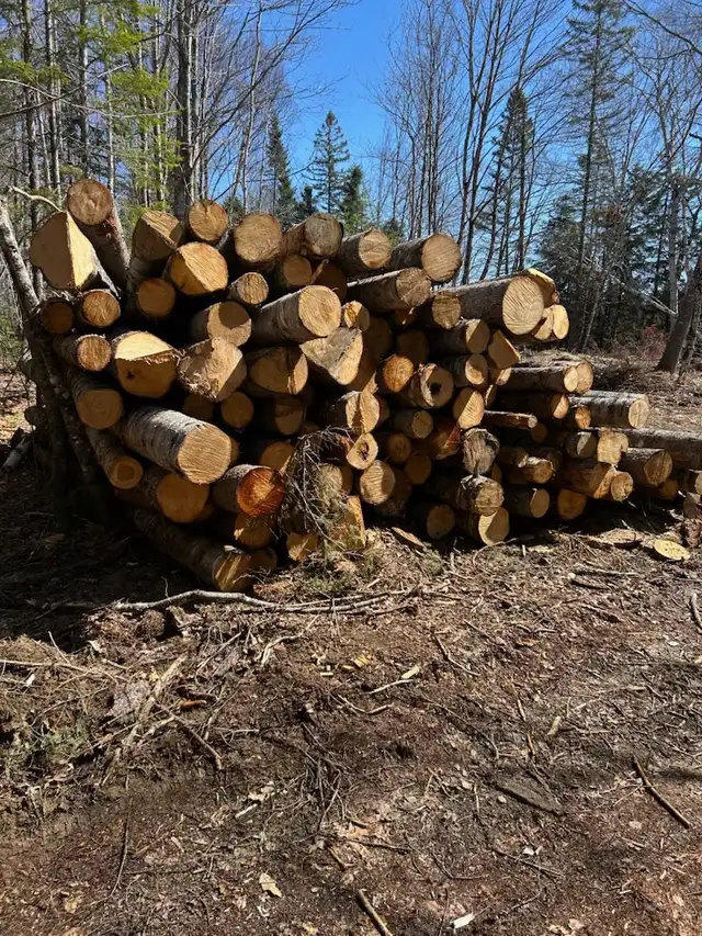 lumber for sale
