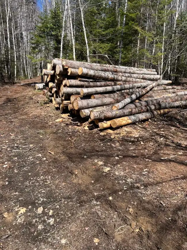 lumber for sale - Photo 2