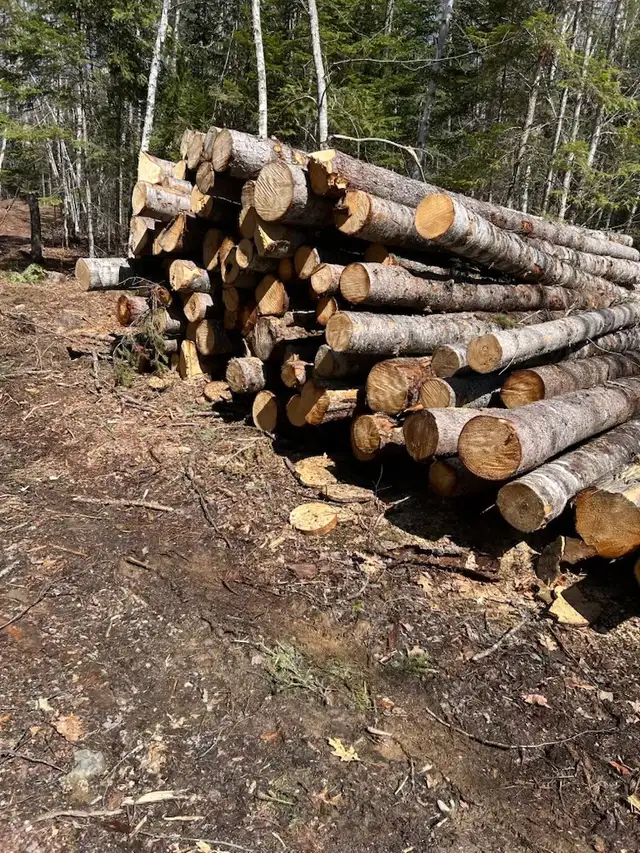 lumber for sale - Photo 3