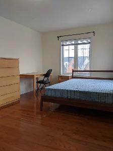 Large Room/Private Bath/Balcony/Parking @York University Village - Photo 2