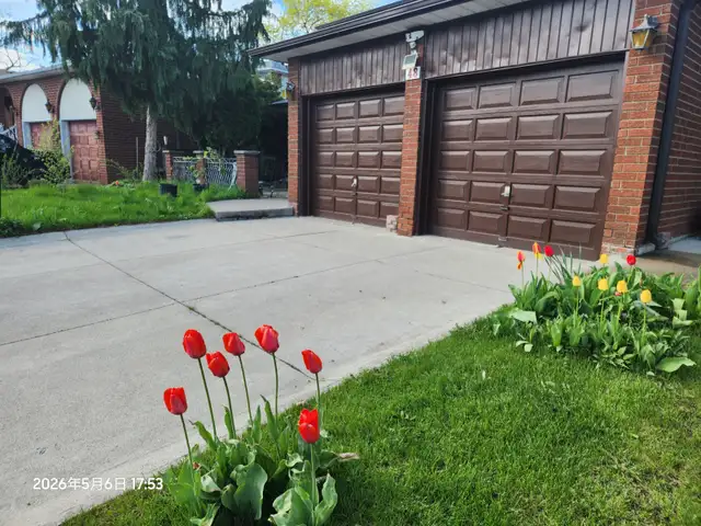 New separate entrance BSM $2000 @Dufferin & Steeles - Photo 8
