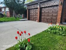 New separate entrance BSM $2000 @Dufferin & Steeles - Photo 8