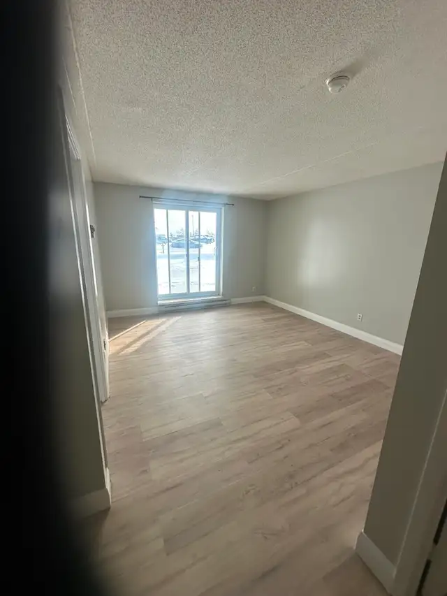 One Bedroom Available Now in Minnow Lake - Photo 4
