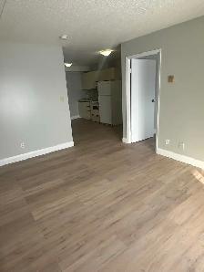 One Bedroom Available Now in Minnow Lake - Photo 5