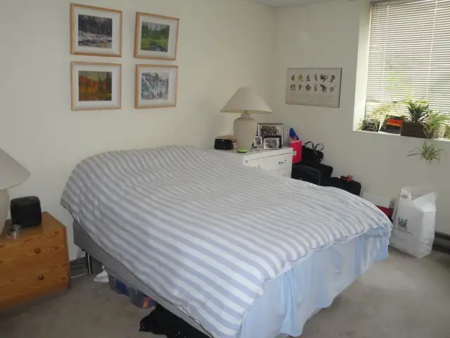 Spacious 1 Bedroom Condo Apartment - Photo 5