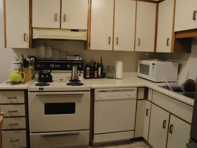 Spacious 1 Bedroom Condo Apartment - Photo 6